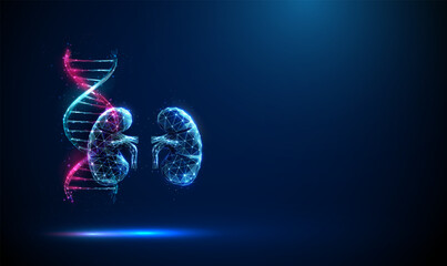 Abstract blue and purple DNA molecule helix and kidneys. Genetic biotechnology engineering concept.