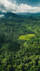 Obraz premium Emerald Canopy: High-angle view of a thriving, verdant rainforest canopy, alive with lush green foliage under a dynamic, cloud-swept sky. A panorama of natural abundance.