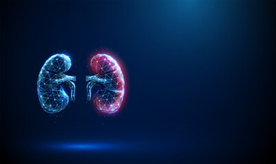 Blue human kidneys with a red surface. Kidney disease, medical diagnosis, technology, artificial intelligence, treatment concept.