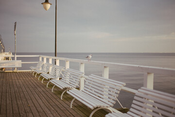 The Baltic Sea at sunset, with warm light illuminating the scene. A seagull perched on the pier, surrounded by white benches and a lantern, creating a peaceful atmosphere of a seaside resort town