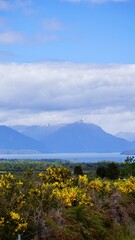 Fototapeta premium Queenstown New Zealand panoramic vistas of mountains valleys and lakes