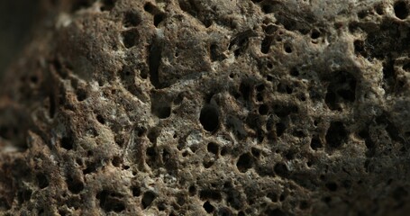 Close-up of a porous volcanic rock with rough weathered surface