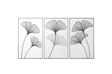 A monochrome triptych of ginkgo leaves in fine black line art, arranged against a white background, blending botanical elegance with minimalist design, isolated on a transparent background