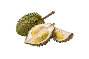 Fototapeta premium A spiky green durian is split open, revealing creamy yellow flesh. The strong aroma and distinctive texture make this fruit an acquired delicacy, isolated on a transparent background