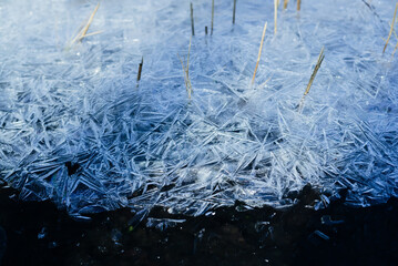 Winter snowy banner, frozen background. A scattering of large long ice crystals