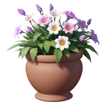 flowers in the pot