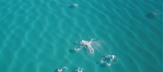 Fototapeta premium Turquoise ocean waves in an abstract 169 AR setting with splashes and foam for textured backdrop Job ID e448ebd5a92242f6a78913ddfe95c17d