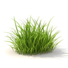 Obraz premium 3d green grass