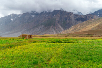 Fototapeta premium meadow in the mountains.