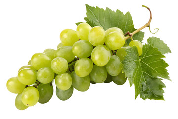 Fresh green grapes with leaves, isolated on black background.