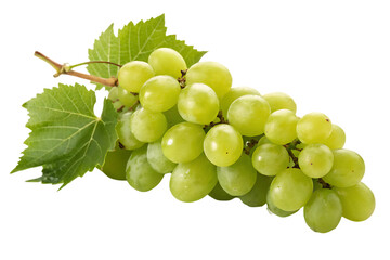 Fresh bunch of green grapes with leaves.