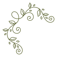 Floral curling corner. Decorative nature swirling frame with leaves.