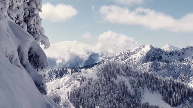 Landscape wide shot tilting up to reveal a stunning snowy rocky mountain range covered in pine trees from Brighton Ski Resort in Utah, USA on a sunny winter day with skiers below on a ski path