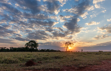 sunset in the cerrado in Minas Gerais, Brazil