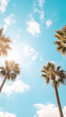 Lush palm trees sway under a bright blue sky, basking in the golden tropical sunlight.