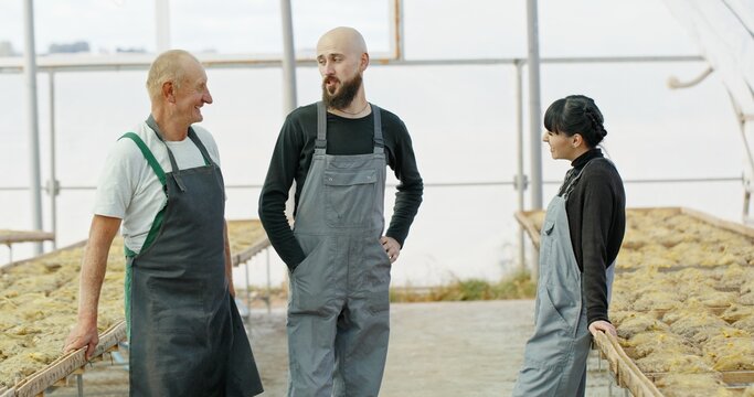 Collaborating Effectively Together in a Greenhouse Environment to Promote Growth and Sustainability