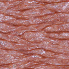 Seamless Organic skin Texture &ndash; Raw Flesh-Like Pattern