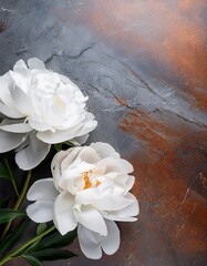 Fototapeta premium White peony flowers on gray and copper marble with copy space. Generated image