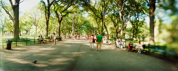 Panoramic view of tourists walking in a park, Central Park, Manhattan, New York City, New York State, USA.