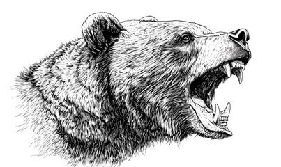 Roaring bear profile in detailed monochrome, linear style icons set, vector.
