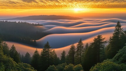 Fototapeta premium Breathtaking Landscape at Dawn with Layers of Fog Rolling Over Rolling Hills, Tree Silhouettes, and a Golden Sun Peeking Over the Horizon in a Serene Natural Setting