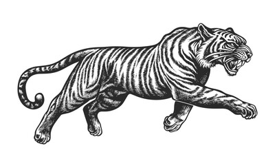 Fierce tiger in mid-leap - wildlife animal vector, linear icons set.