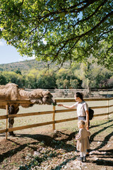 Little girl stands near her mother, who is feeding a camel with a carrot, leaning over the fence
