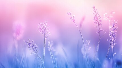 Fototapeta premium Soft Pastel Wildflowers in a Dreamy Sunrise Landscape Scene