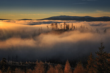 fog in the foothills of the High Tatras at sunrise near Strbske pleso