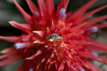engagement ring on a flowers