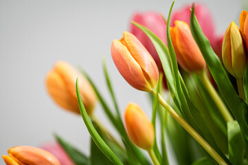 Bukiet tulipanów tulipan  © Grzegorz
