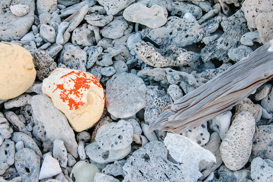 Horizontal shot of an old buoy on coral beach with driftwood detail.