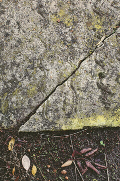 Vertical shot of cracked cement
