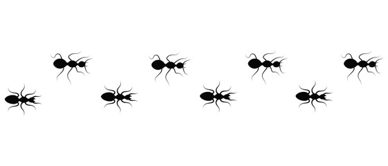 Ant silhouette vector icon. Silhouette of an insect ant icon vector. Worker ants trail curve. Teamwork, hard work concept.  Vector illustration.