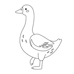 Cute cartoon goose coloring page