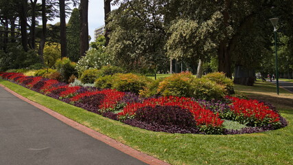 Naklejka premium Flower bed in Fitzroy Gardens in Melbourne,Victoria,Australia 