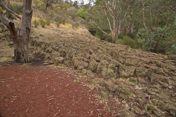 Tessellated Pavement in Organ Pipes National Park, Victoria, Australia
