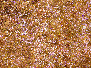 The white small flower field background.