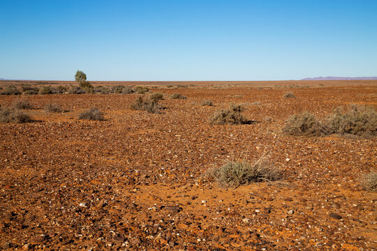 gibber plains under blue sky