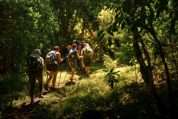 Group of tourists hiking on mount meru celebrating international africa day