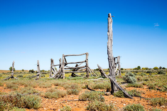 weathered posts from old stock yards