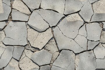 Fototapeta premium Dry cracked earth surface pattern with irregular shapes.