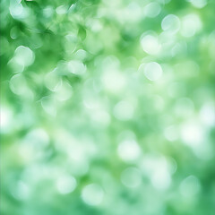 Fototapeta premium Relaxing green nature scene outdoor garden abstract background lush environment soft focus serenity concept for mindfulness