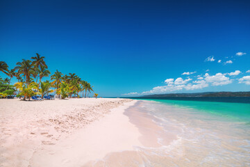 Tropical beach Caribbean Sea and Exotic Palm trees on Bacardi Island Cayo Levantado Samana Bay...