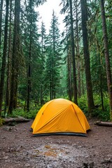 A solar-powered campsite in the wilderness.