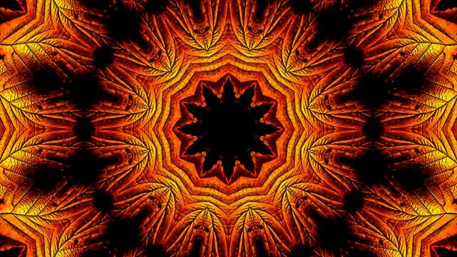 Bright fractal fire flames with red flowers and explosive fireworks design motion background.
