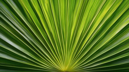 Intricate patterns of a tropical leaf bathed in natural light