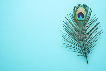 Macro image of a peacock feather - displaying a vibrant - natural texture blue background
