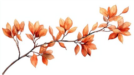 Fototapeta premium Delicate Watercolor Illustration of Autumn Leaves on a Branch with Warm Orange and Brown Tones