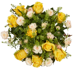 Yellow top view of blooming rose bouquet cut out isolated transparent background